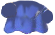 gnome body